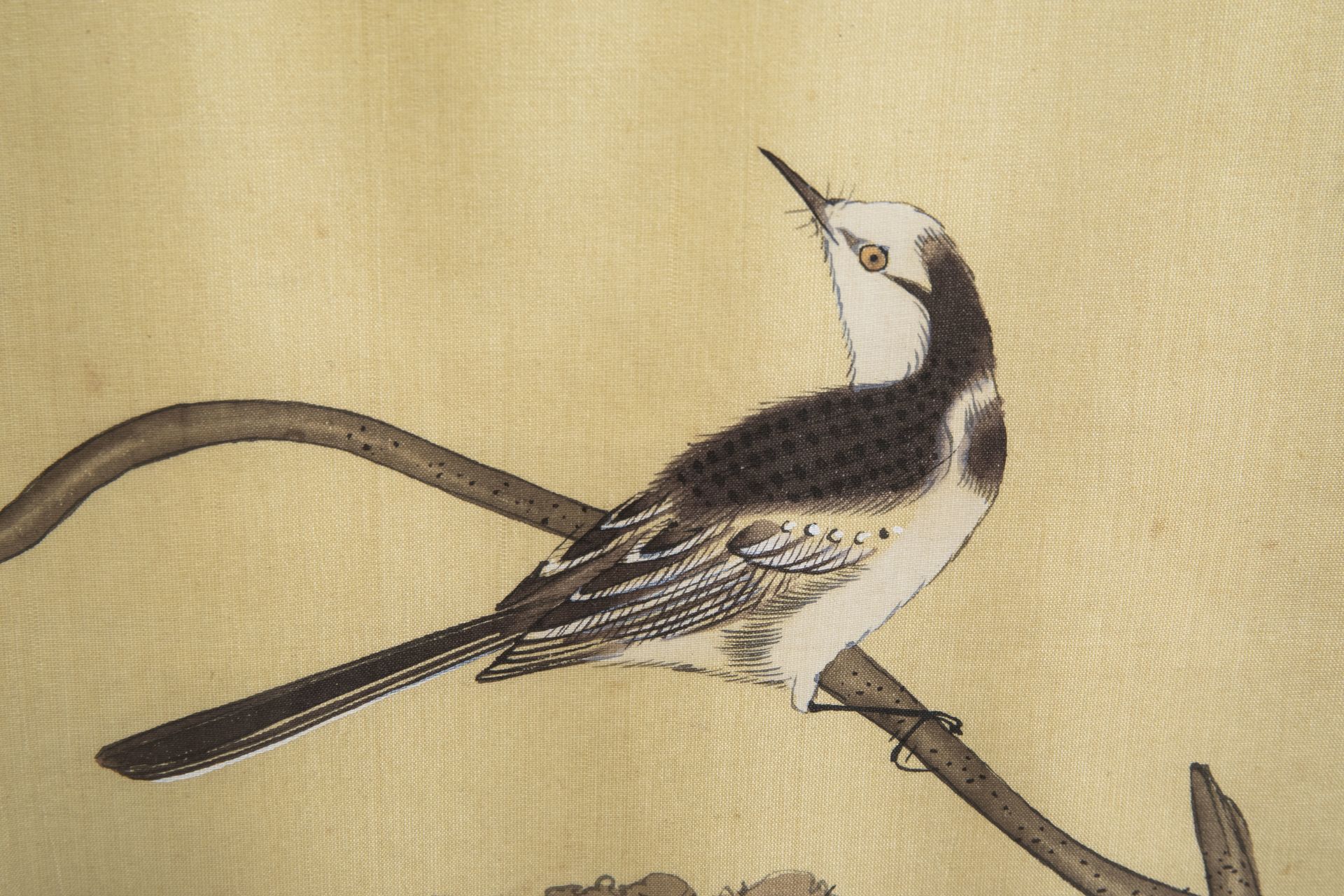 Chinese school, ink and colours on silk, 19th/20th C.: Ten paintings of birds between blossoms - Image 47 of 62