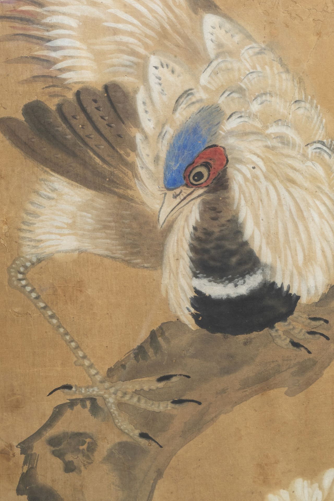 Chinese school, ink and colours on paper, 19th C. or earlier: Birds between blossoming branches - Image 6 of 6