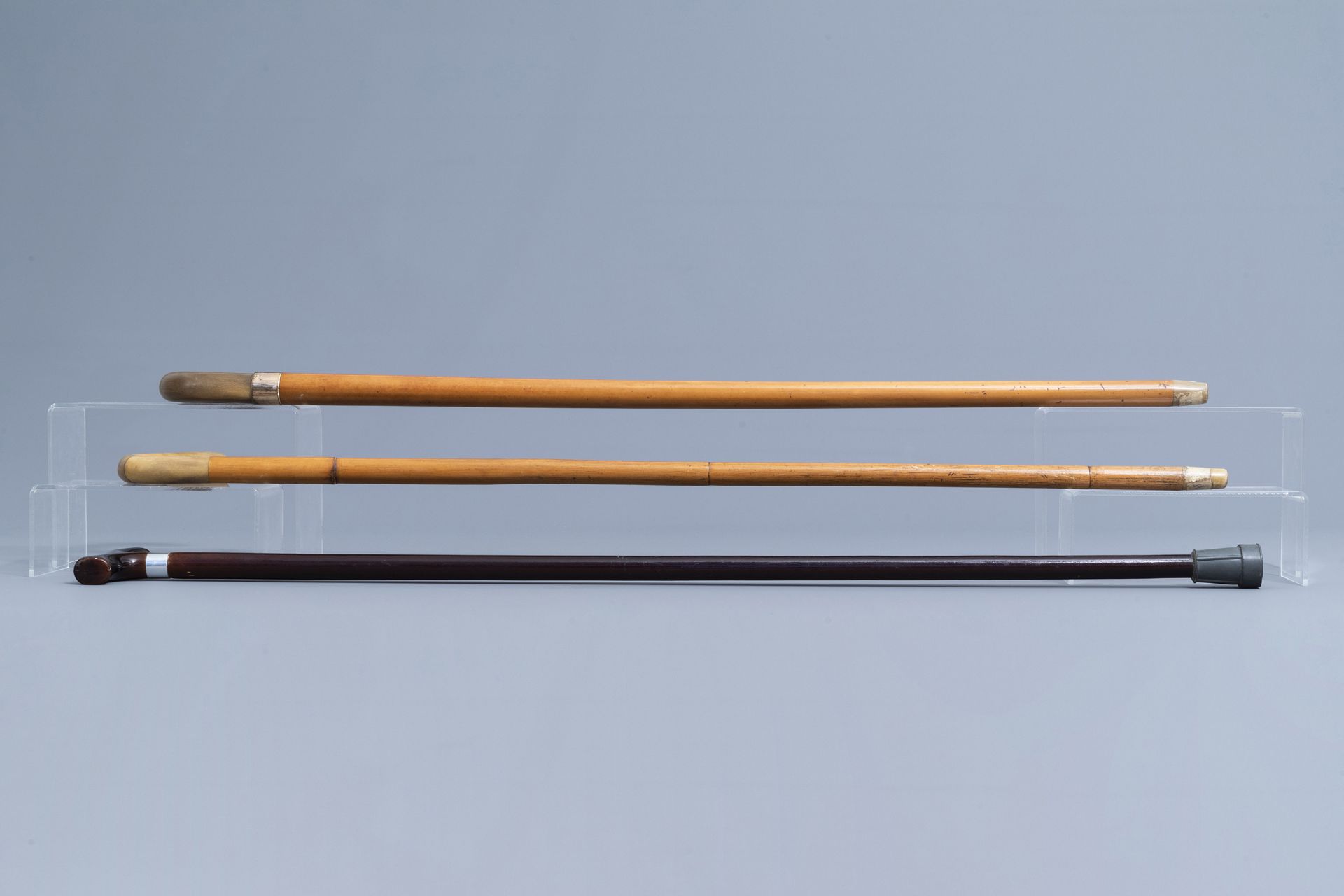 A varied collection of seven walking sticks with accompanying stand, 20th C. - Image 12 of 21