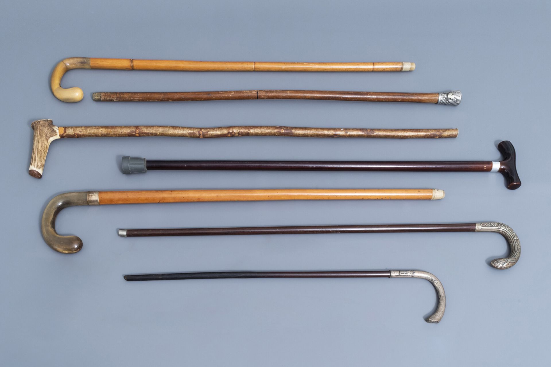 A varied collection of seven walking sticks with accompanying stand, 20th C.