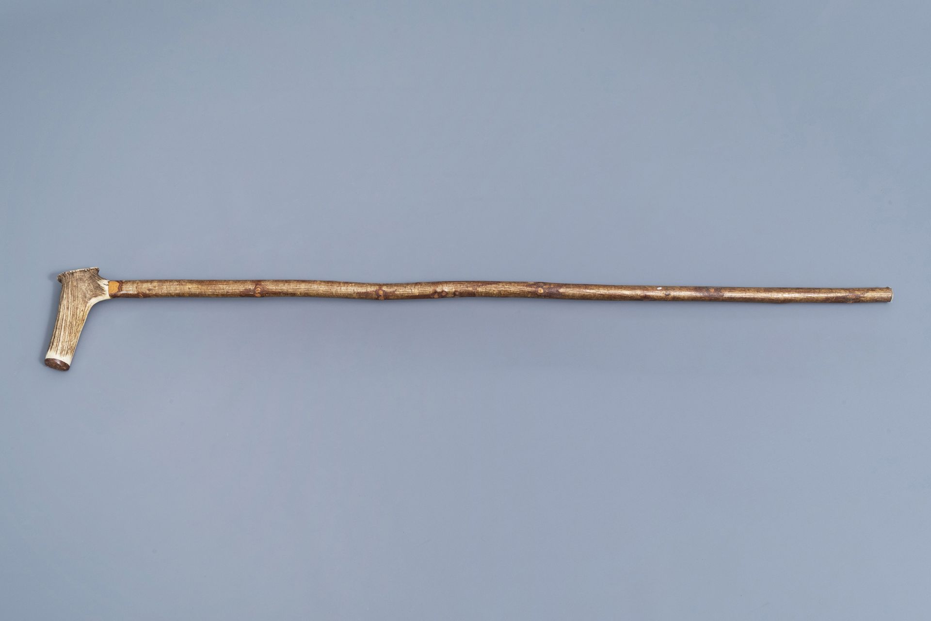 A varied collection of seven walking sticks with accompanying stand, 20th C. - Image 7 of 21