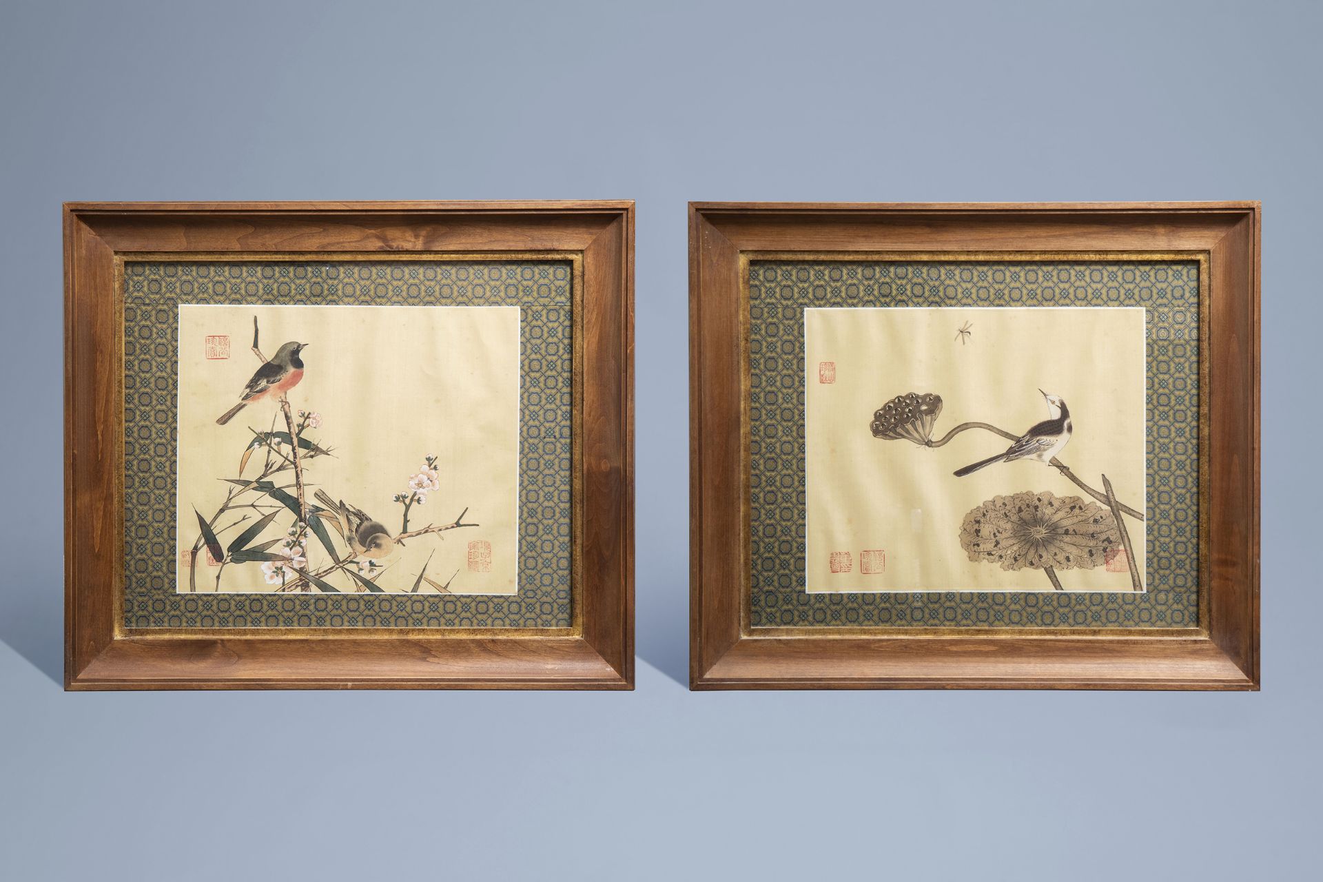 Chinese school, ink and colours on silk, 19th/20th C.: Ten paintings of birds between blossoms - Image 15 of 62