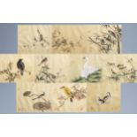 Chinese school, ink and colours on silk, 19th/20th C.: Ten paintings of birds between blossoms