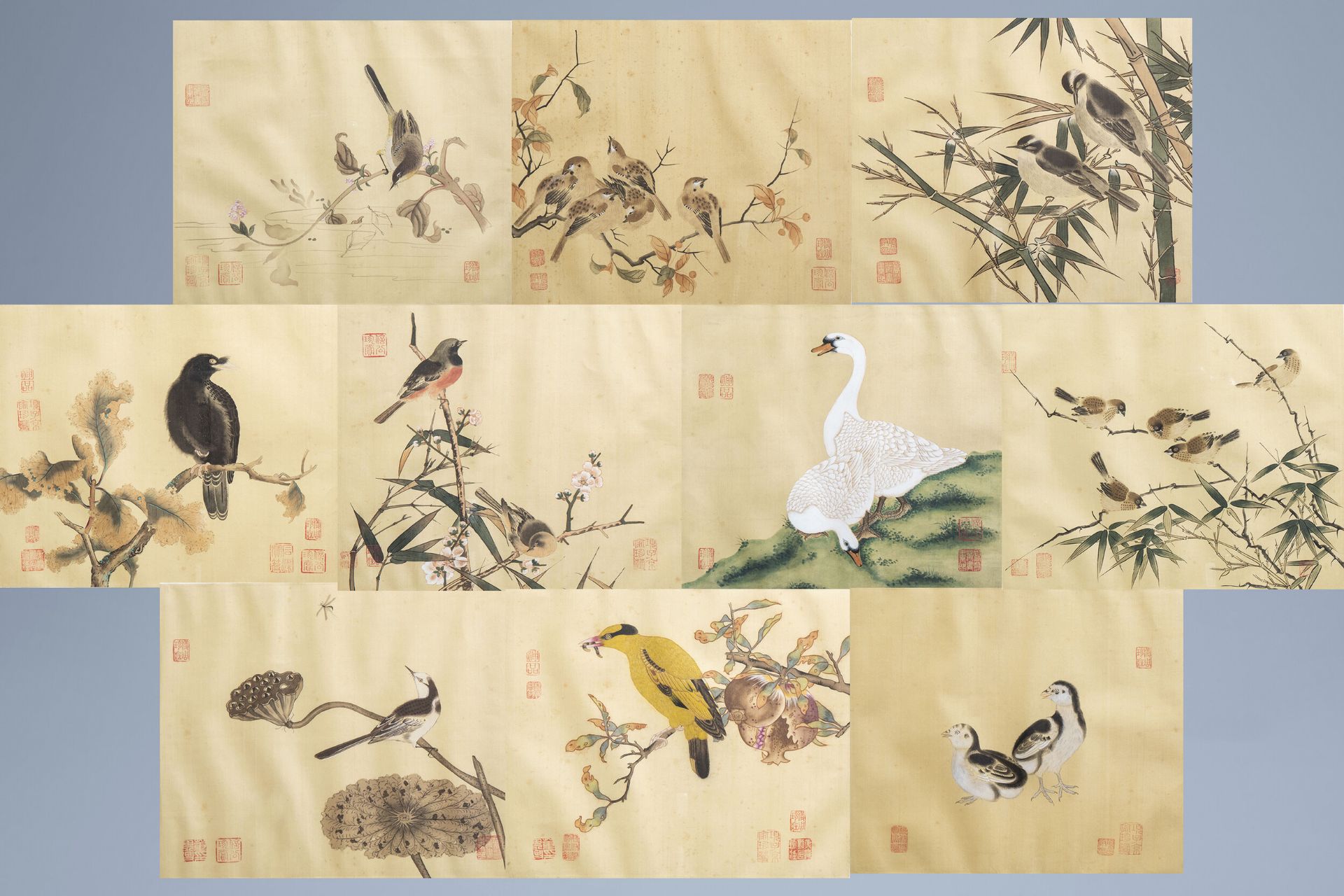 Chinese school, ink and colours on silk, 19th/20th C.: Ten paintings of birds between blossoms