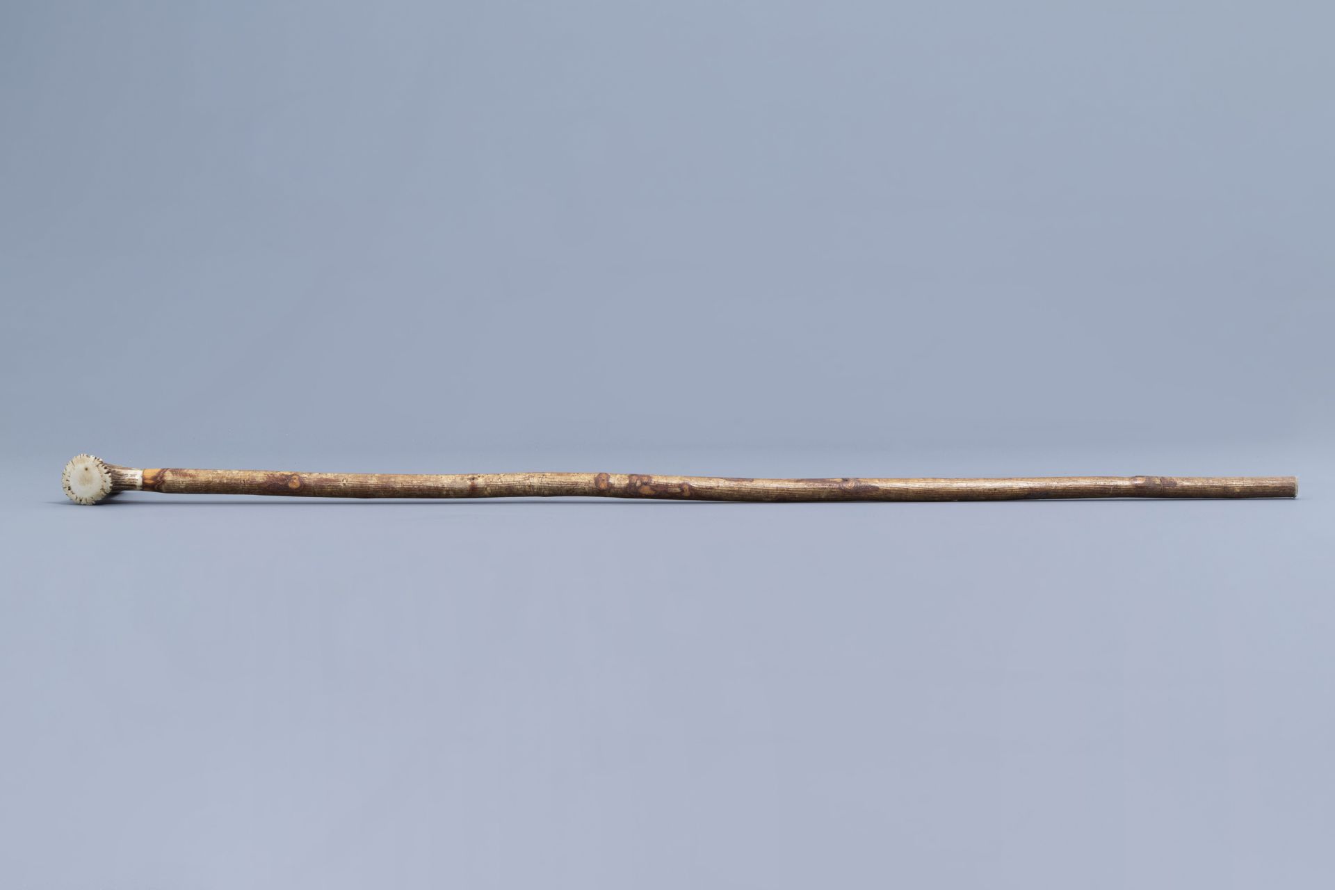 A varied collection of seven walking sticks with accompanying stand, 20th C. - Image 13 of 21