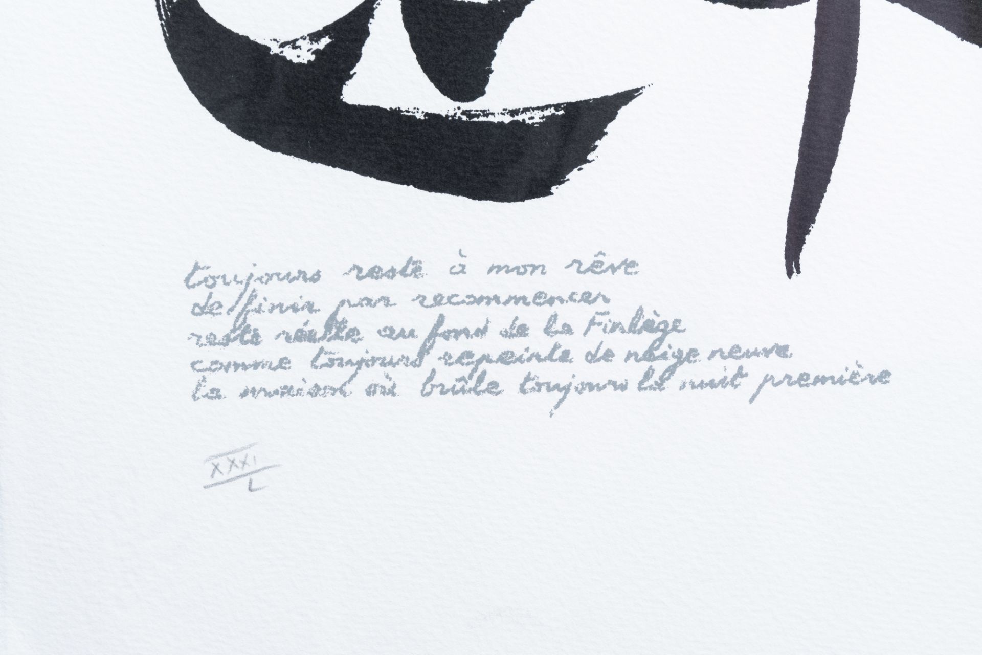 Christian Dotremont (1922-1979): 'Toujours reste a mon rve...', serigraph, ed. XXXI/L, dated 1975 ( - Image 4 of 5