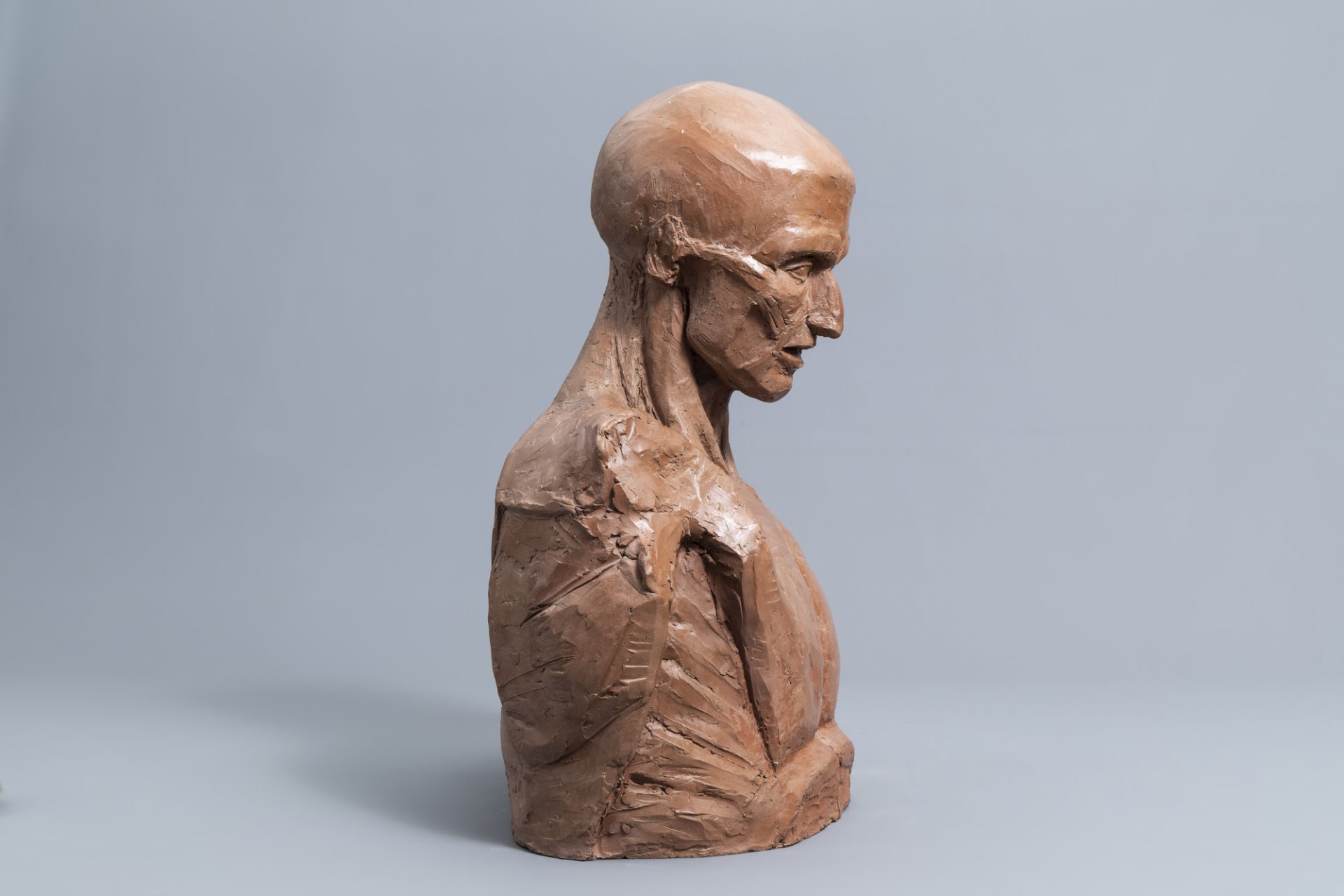 French school, in the manner of Jean Antoine Houdon (1741-1828): 'L'ecorche' (Anatomical man), patin - Image 7 of 9