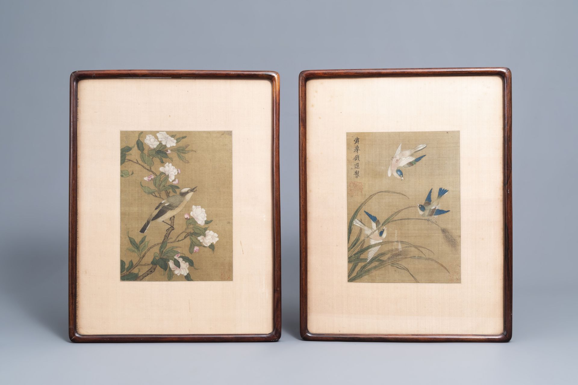 Chinese school, ink and colours on silk, 19th/20th C.: Two works depicting birds between blossoming