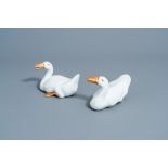 A pair of Chinese blanc de Chine models of geese, Republic, 20th C.