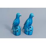 A pair of Chinese turquoise glazed models of parrots, 19th C.