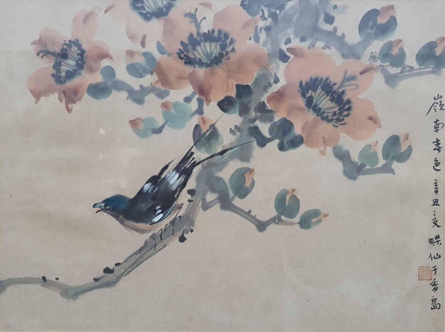 Three Chinese watercolour studies of birds and insects amongst blossom, with inscriptions to the