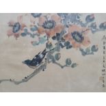 Three Chinese watercolour studies of birds and insects amongst blossom, with inscriptions to the