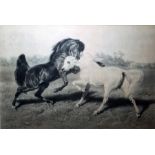 After Rosa Bonheur, engraved by Joseph Pratt Engraving  "The Duel", 61cm x 90cm