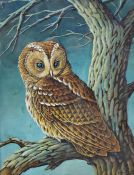Avery (20th century school) Watercolour Study of an owl sitting on branch, signed lower right,