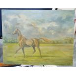 Attributed to Madeline Selfe (1910-2005)  Oil on canvas board  Horse galloping in a field, 21.5cm