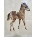 After Kurt Meyer-Eberhardt (German 1895-1977) Coloured etching Foal, signed in pencil, 39cm x 30cm