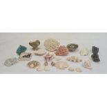 Quantity of large decorative shells and coral pieces