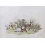 Two coloured lithographs Deer, published by S & J Fuller at their Sporting Gallery, 34 Rathbone