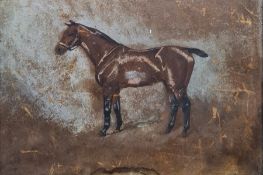 Early 20th century school  Watercolour and pastel Study of a racing horse, initialled lower left '