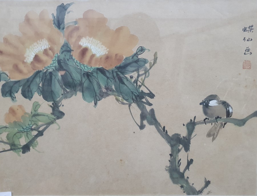 Three Chinese watercolour studies of birds and insects amongst blossom, with inscriptions to the - Image 2 of 4