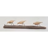 Bruno Charron spalted beech and driftwood three bird sculpture, 56cm wide