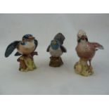 Six Beswick model birds to include Kingfisher, 2417 Jay, Magpie, Lapwing 2416 and two others (6)