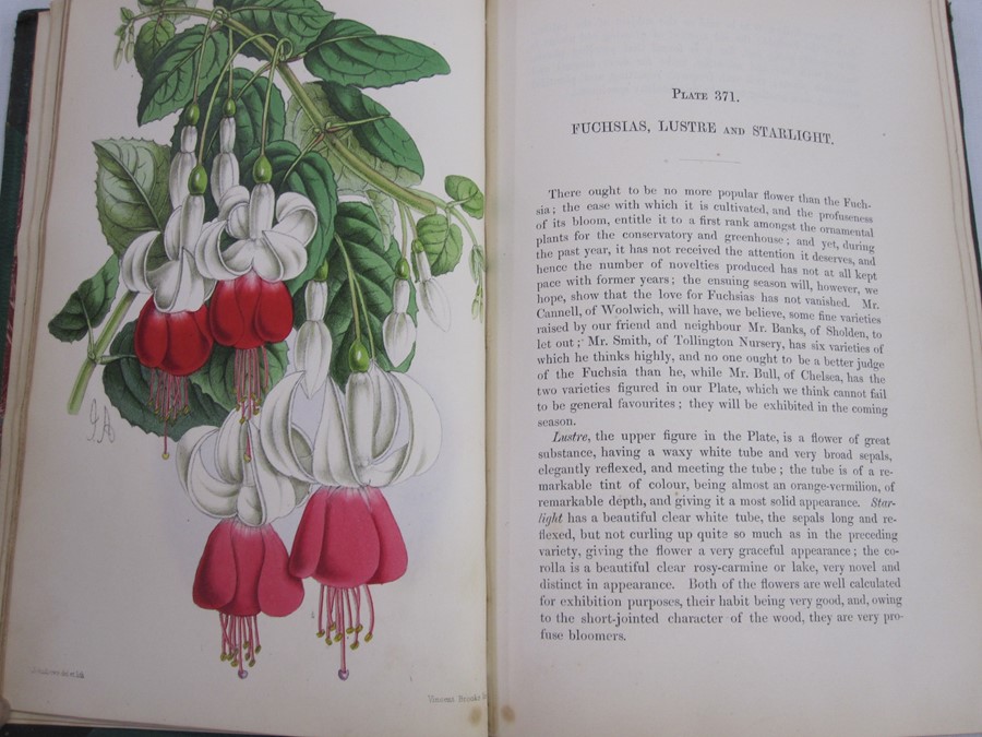 Dombrain, Rev H Honywood (ed) "The Floral Magazine: Volume 7", plates by James Andrews, L Reeve & Co - Image 2 of 3