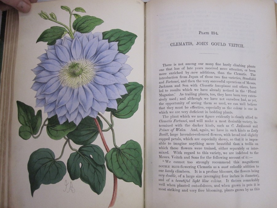 Dombrain, Rev H Honywood (ed) "The Floral Magazine: Volume 7", plates by James Andrews, L Reeve & Co - Image 3 of 3