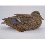 Philip Nelson decoy duck, carved in the form of female mallard, initials to base 16 cms h x 39 cms