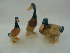 Beswick model mallard 817, another 902 and another 756-1 (3)  Part of the Wildfowl and Wetlands