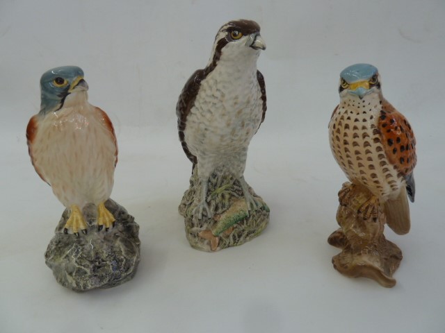 Five Beneagles pottery whisky decanter model birds of prey and another Beswick bird of prey, 2316 (