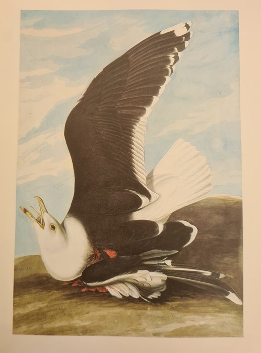 Audubon, John James  "The Original Watercolour Paintings for Birds of America", reproduced in colour - Image 9 of 9