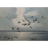 Peter Scott  Five colour prints  "Broadbills Coming Into Raft", "Mallards Jumping", "Three