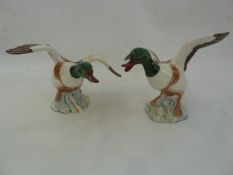 Two Beswick model sheldrakes, 994 and 995 (2)  Part of the Wildfowl and Wetlands Trust Collection