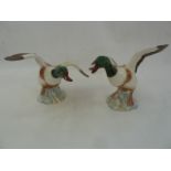 Two Beswick model sheldrakes, 994 and 995 (2)  Part of the Wildfowl and Wetlands Trust Collection