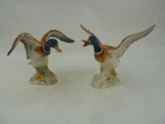 Two Beswick model mallards, no.749 and 750 (2)  Part of the Wildfowl and Wetlands Trust Collection