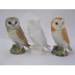 Three Beswick model owls, 1046 various colours, four Doulton Whyte & Mackay ceramic owl whisky