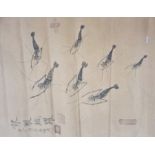 Three original 19th Century Chinese hand-painted pictures depicting shrimp, signed and stamped by