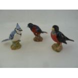 Six various Beswick model birds, Cedar Waxwing, Baltimore Oriole, American Robin, Black Capped