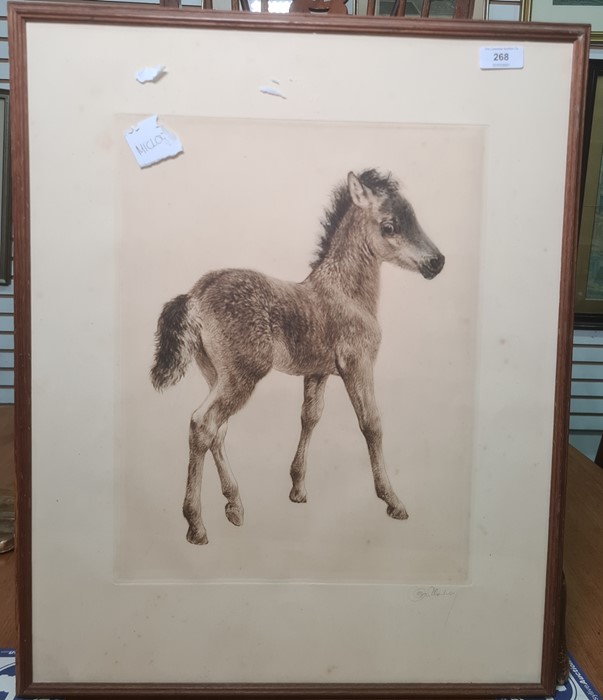 After Kurt Meyer-Eberhardt (German 1895-1977) Coloured etching Foal, signed in pencil, 39cm x 30cm - Image 2 of 2