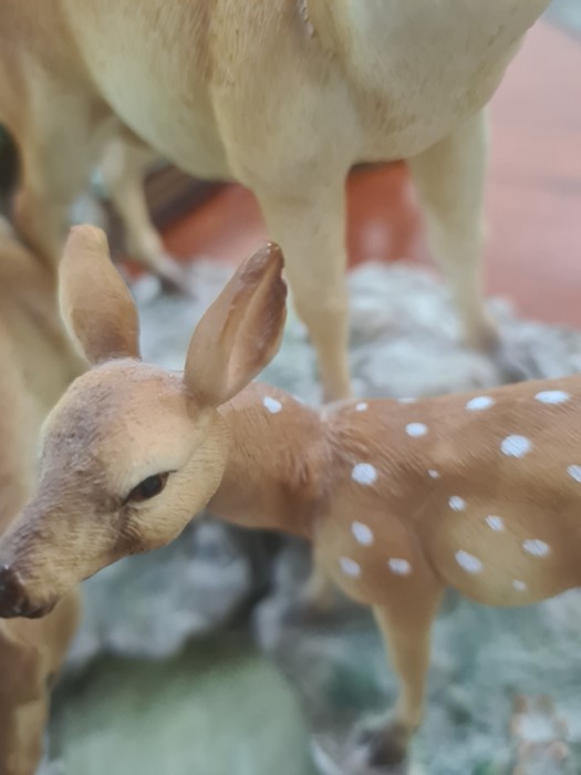 Juliana Collection resin model of deer, a Leonardo Collection porcelain model of barn owl, salt - Image 10 of 16