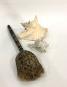 Old indigenous stringed instrument, large whelkshell and another (3)