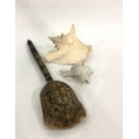 Old indigenous stringed instrument, large whelkshell and another (3)