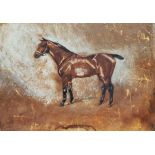 Early 20th century school Watercolour and pastel Study of a racing horse, initialled lower left '
