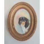 Painted porcelain plaque, oval, head and shoulders study of a dog 'Amber' by E R Booth, ex Royal