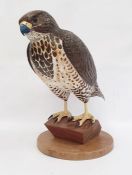 Carved wood figure of bird of prey, marked verso 'B2000 1/1', 42cm high