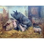 William Weekes (1856-1909) Oil on canvas Pigs and piglets in barn, signed lower right 'W. Weekes' 35