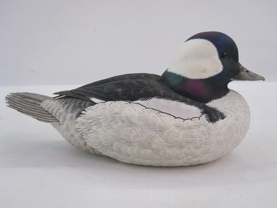 Barry Woodcraft decoy bufflehead drake signed to base and dated November 1991, sculptured from - Image 2 of 7