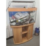 Juwel aquarium and related paraphernalia to include CO2 canister, gravel, pipes, lights, filters,
