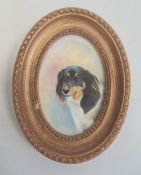 Painted porcelain plaque, oval, head and shoulders study of a dog 'Amber' by E R Booth, ex Royal